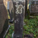 Споменик Велимиру Виторовићу на гробљу у Доњој Белој Реци (фото Бојан Радојичић)