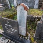 Споменик Милошу Виторовићу на гробљу у Доњој Белој Реци (фото Бојан Радојичић)