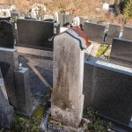 Споменик Милошу Виторовићу на гробљу у Доњој Белој Реци (фото Бојан Радојичић)