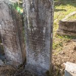 Споменик Рајку Виторовићу на гробљу у Доњој Белој Реци (фото Бојан Радојичић)