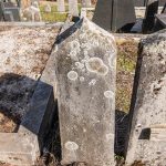 Споменик Рајку Виторовићу на гробљу у Доњој Белој Реци (фото Бојан Радојичић)