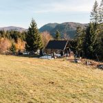 Поповића гробље у Белој Реци (фото Бојан Радојичић)