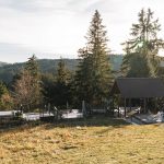 Поповића гробље у Белој Реци (фото Бојан Радојичић)