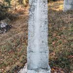 Споменик Дамљану Поповићу на Поповића гробљу у Белој Реци (фото Бојан Радојичић)