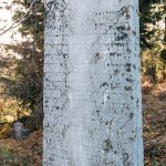 Споменик Дамљану Поповићу на Поповића гробљу у Белој Реци (фото Бојан Радојичић)