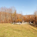 Љујића гробље у Бистрици (фото Бојан Радојичић)