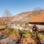 Рајића гробље у Бистрици (фото Бојан Радојичић)