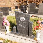 Споменик Арсенију Бучевцу на Рајића гробљу у Бистрици (фото Бојан Радојичић)