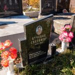 Споменик Арсенију Бучевцу на Рајића гробљу у Бистрици (фото Бојан Радојичић)