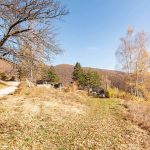 Гробље у Соколови, Бистрица (фото Бојан Радојичић)