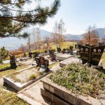 Гробље у Соколови, Бистрица (фото Бојан Радојичић)