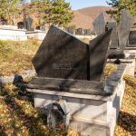 Споменик Сретену Драгашевићу на гробљу у Соколови, Бистрица (фото Бојан Радојичић)