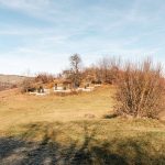 Гробље у Ловчи, Буковик, Божетићи (фото Бојан Радојичић)