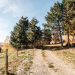 Гробље у Љепојевићима, Божетићи (фото Бојан Радојичић)