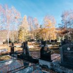 Гробље у Љепојевићима, Божетићи (фото Бојан Радојичић)