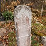 Споменик Живку и Богосаву Карајанковићима на на Ковачевића гробљу у Драглици (фото Бојан Радојичић)