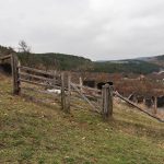 Гробље у Расници, Драглица (фото Бојан Радојичић)