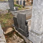 Споменик Вукосаву Шуљагићу на Шуљагића гробљу у Драглици (фото Бојан Радојичић)