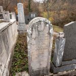 Споменик Николи и Раденку Шуљагићима на Шуљагића гробљу у Драглици (фото Бојан Радојичић)