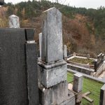 Споменик Вукадину Шишаковићу на Шуљагића гробљу у Драглици (фото Бојан Радојичић)