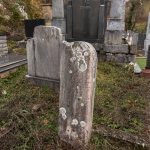 Споменик Ненаду Шуљагићу на Шуљагића гробљу у Драглици (фото Бојан Радојичић)