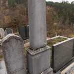 Споменик капетану Миладину Шуљагићу на Шуљагића гробљу у Драглици (фото Бојан Радојичић)