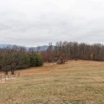 Гробље на Тустом Брду у Драглици (фото Бојан Радојичић)