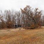 Гробље на Тустом Брду у Драглици (фото Бојан Радојичић)