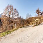 Крајпуташ Дучићима и Ракетићу у Дражевићима (фото Бојан Радојичић)