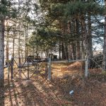 Аничића гробље у Дебељи, Јасеново (фото Бојан Радојичић)