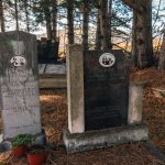 Споменик Радосаву Аничићу на Аничића гробљу у Дебељи, Божетићи (фото Бојан Радојичић)