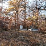 Гробље Рашће у Дебељи, Божетићи (фото Бојан Радојичић)