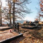 Гробље Рашће у Дебељи, Божетићи (фото Бојан Радојичић)