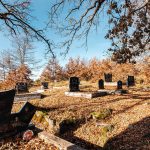 Гробље Рашће у Дебељи, Божетићи (фото Бојан Радојичић)