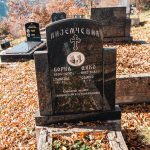 Споменик Дику Нијемчевићу на гробљу Рашће у Дебељи, Божетићи (фото Бојан Радојичић)