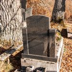 Споменик Дику Нијемчевићу на гробљу Рашће у Дебељи, Божетићи (фото Бојан Радојичић)