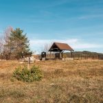 Стојића гробље у Дебељи, Божетићи (фото Бојан Радојичић)