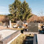 Гробље у Звијерцима у Дебељи, Божетићи (фото Бојан Радојичић)