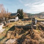 Гробље у Звијерцима у Дебељи, Божетићи (фото Бојан Радојичић)