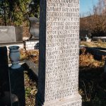 Споменик Манојлу Аничићу на гробљу у Звијерцима у Дебељи, Божетићи (фото Бојан Радојичић)