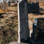 Споменик Манојлу Аничићу на гробљу у Звијерцима у Дебељи, Божетићи (фото Бојан Радојичић)