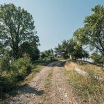 Гробље у Дрндарима, Јасеново (фото Бојан Радојичић)