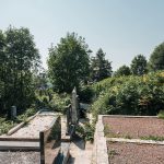 Гробље у Дрндарима, Јасеново (фото Бојан Радојичић)