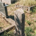 Споменик Милану Цвијовићу на гробљу у Дрндарима, Јасеново (фото Бојан Радојичић)