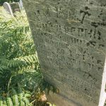 Споменик Никиту Дрндаревићу на гробљу у Дрндарима, Јасеново (фото Бојан Радојичић)