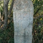 Споменик Василију Гојгићу на гробљу у Дрндарима, Јасеново (фото Бојан Радојичић)