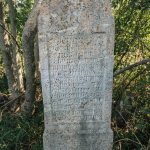 Споменик Василију Гојгићу на гробљу у Дрндарима, Јасеново (фото Бојан Радојичић)