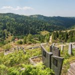 Гробље у Госпавићима, Јасеново (фото Бојан Радојичић)