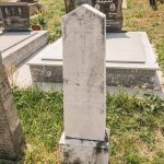 Споменик Павлу Виторовићу на гробљу у Јасенову (фото Бојан Радојичић)