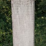 Споменик браћи Бралушићима на гробљу у Маџарима, Јасеново (фото Бојан Радојичић)